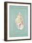 Spiral Shell-Hardenbrook Studio-Framed Art Print