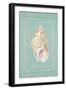 Spiral Shell-Hardenbrook Studio-Framed Art Print