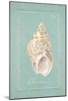 Spiral Shell-Hardenbrook Studio-Mounted Art Print