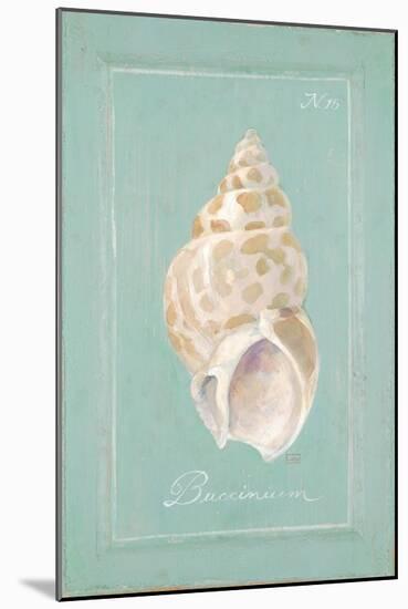 Spiral Shell-Hardenbrook Studio-Mounted Art Print