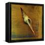 Spiral Shell-John W Golden-Framed Stretched Canvas