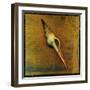 Spiral Shell-John W Golden-Framed Giclee Print