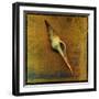 Spiral Shell-John W Golden-Framed Giclee Print