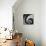 Spiral Staircase No. 3-PhotoINC Studio-Art Print displayed on a wall