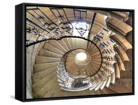 Spiral Staircase, Seaton Delaval Hall, Northumberland, England, UK-Ivan Vdovin-Framed Stretched Canvas