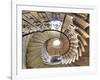 Spiral Staircase, Seaton Delaval Hall, Northumberland, England, UK-Ivan Vdovin-Framed Photographic Print