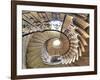 Spiral Staircase, Seaton Delaval Hall, Northumberland, England, UK-Ivan Vdovin-Framed Photographic Print