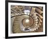 Spiral Staircase, Seaton Delaval Hall, Northumberland, England, UK-Ivan Vdovin-Framed Photographic Print