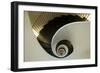 Spiral Staircase, Silken Gran Hotel Domine, Bilbao, Spain-Jaynes Gallery-Framed Photographic Print