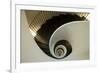 Spiral Staircase, Silken Gran Hotel Domine, Bilbao, Spain-Jaynes Gallery-Framed Photographic Print