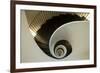 Spiral Staircase, Silken Gran Hotel Domine, Bilbao, Spain-Jaynes Gallery-Framed Photographic Print