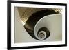 Spiral Staircase, Silken Gran Hotel Domine, Bilbao, Spain-Jaynes Gallery-Framed Photographic Print