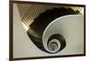 Spiral Staircase, Silken Gran Hotel Domine, Bilbao, Spain-Jaynes Gallery-Framed Photographic Print