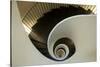 Spiral Staircase, Silken Gran Hotel Domine, Bilbao, Spain-Jaynes Gallery-Stretched Canvas