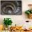 Spiral staircase, Vatican Museum, Rome, Lazio, Italy, Europe-null-Framed Stretched Canvas displayed on a wall