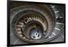 Spiral staircase, Vatican Museum, Rome, Lazio, Italy, Europe-null-Framed Photographic Print