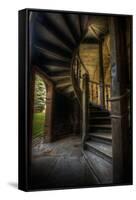 Spiral Staircase-Nathan Wright-Framed Stretched Canvas