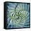 Spiral Succulent-Jan Bell-Framed Stretched Canvas