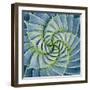 Spiral Succulent-Jan Bell-Framed Photographic Print