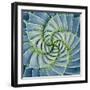 Spiral Succulent-Jan Bell-Framed Photographic Print