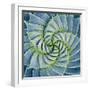 Spiral Succulent-Jan Bell-Framed Photographic Print