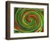 Spiralicious-Herb Dickinson-Framed Photographic Print