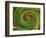 Spiralicious-Herb Dickinson-Framed Photographic Print