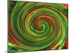 Spiralicious-Herb Dickinson-Mounted Photographic Print