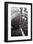 Spiraling-Evan Morris Cohen-Framed Photographic Print