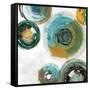 Spirals I-Tom Reeves-Framed Stretched Canvas
