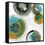 Spirals II-Tom Reeves-Framed Stretched Canvas