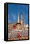 Spires and steeples in Bruges, West Flanders, Belgium.-Michael DeFreitas-Framed Stretched Canvas