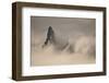 Spires of Rock Through Clouds, Glacier-Waterton International Peace Park, Livingston Range, Montana-Steven Gnam-Framed Photographic Print