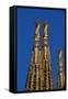 Spires of Sacred Family-null-Framed Stretched Canvas