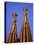 Spires of the Sagrada Familia, the Gaudi Cathedral, in Barcelona, Cataluna, Spain, Europe-Nigel Francis-Stretched Canvas