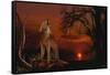 Spirit and the Darkness-Gordon Semmens-Framed Stretched Canvas