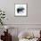 Spirit Bear-Evangeline Taylor-Framed Stretched Canvas displayed on a wall