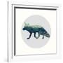 Spirit Fox-Evangeline Taylor-Framed Art Print