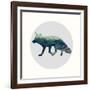 Spirit Fox-Evangeline Taylor-Framed Art Print