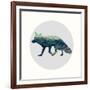 Spirit Fox-Evangeline Taylor-Framed Art Print