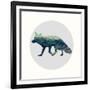 Spirit Fox-Evangeline Taylor-Framed Art Print