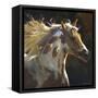 Spirit Horse-Carolyne Hawley-Framed Stretched Canvas