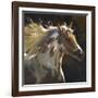 Spirit Horse-Carolyne Hawley-Framed Art Print
