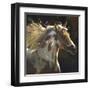 Spirit Horse-Carolyne Hawley-Framed Art Print