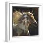 Spirit Horse-Carolyne Hawley-Framed Art Print