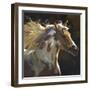 Spirit Horse-Carolyne Hawley-Framed Premium Giclee Print