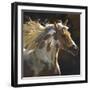 Spirit Horse-Carolyne Hawley-Framed Premium Giclee Print