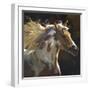 Spirit Horse-Carolyne Hawley-Framed Art Print