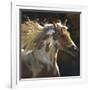 Spirit Horse-Carolyne Hawley-Framed Premium Giclee Print