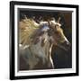 Spirit Horse-Carolyne Hawley-Framed Premium Giclee Print